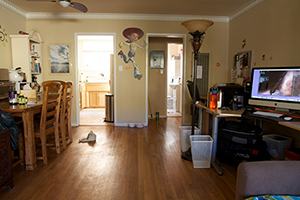 cleaning your home fast and easy